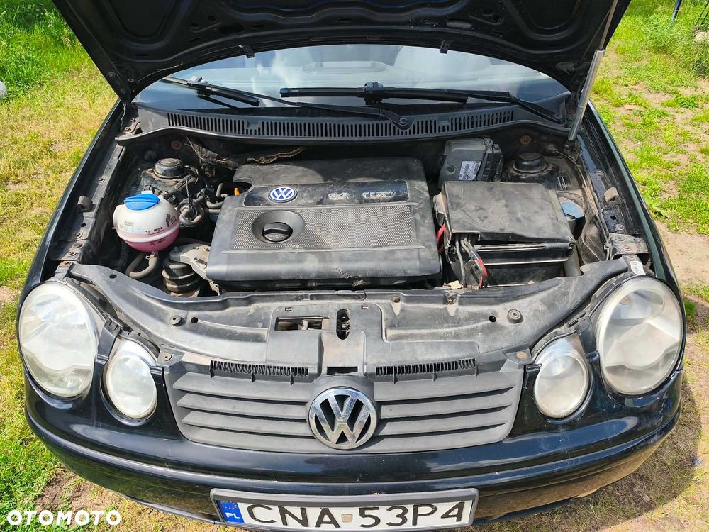 Volkswagen Polo - 2
