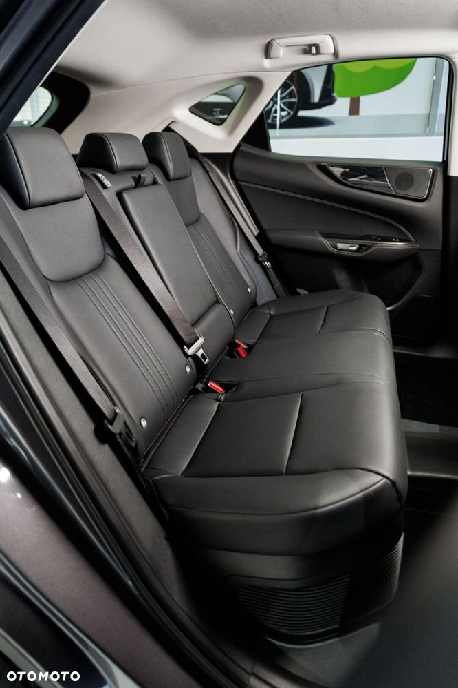 Lexus NX - 19
