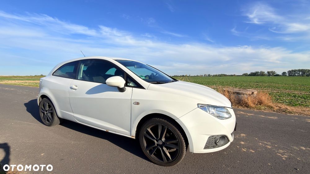 Seat Ibiza - 29