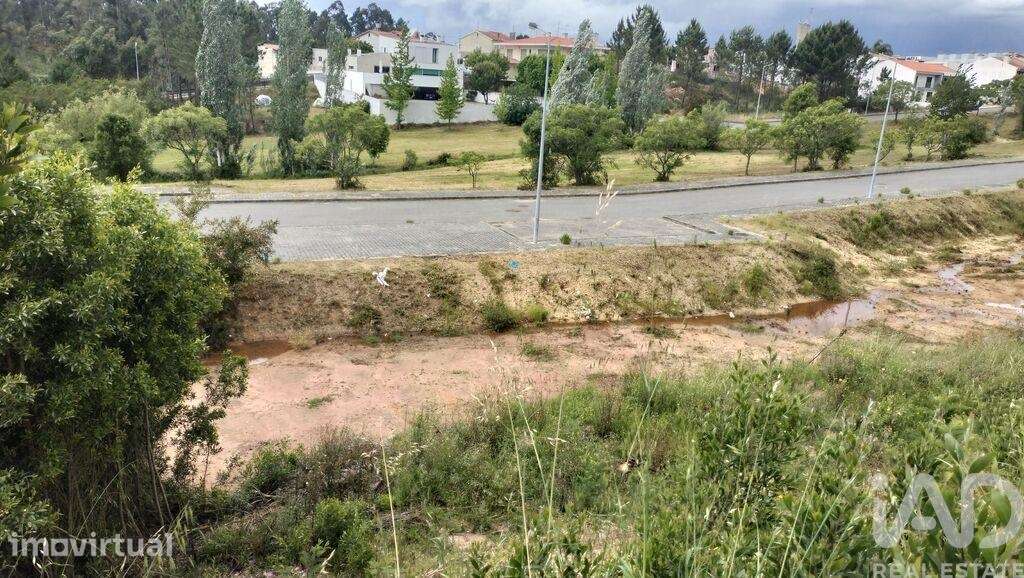 Terreno para construção em Águeda e Borralha - Grande imagem: 5/40