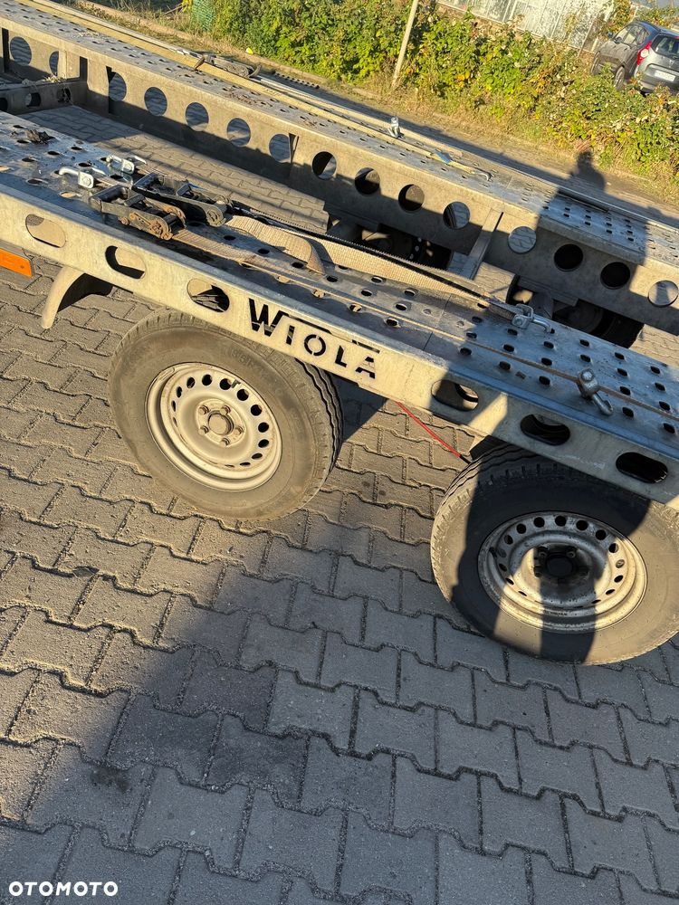 Wiola Wiola 8m - 7