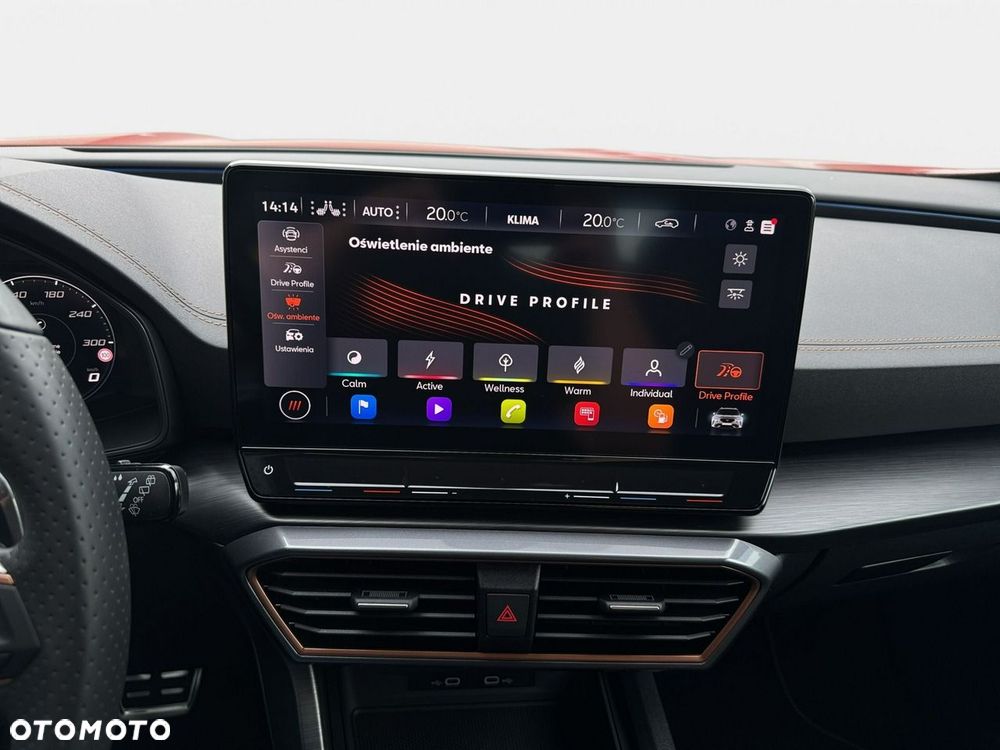 Cupra Formentor 1.5 TSI DSG - 25