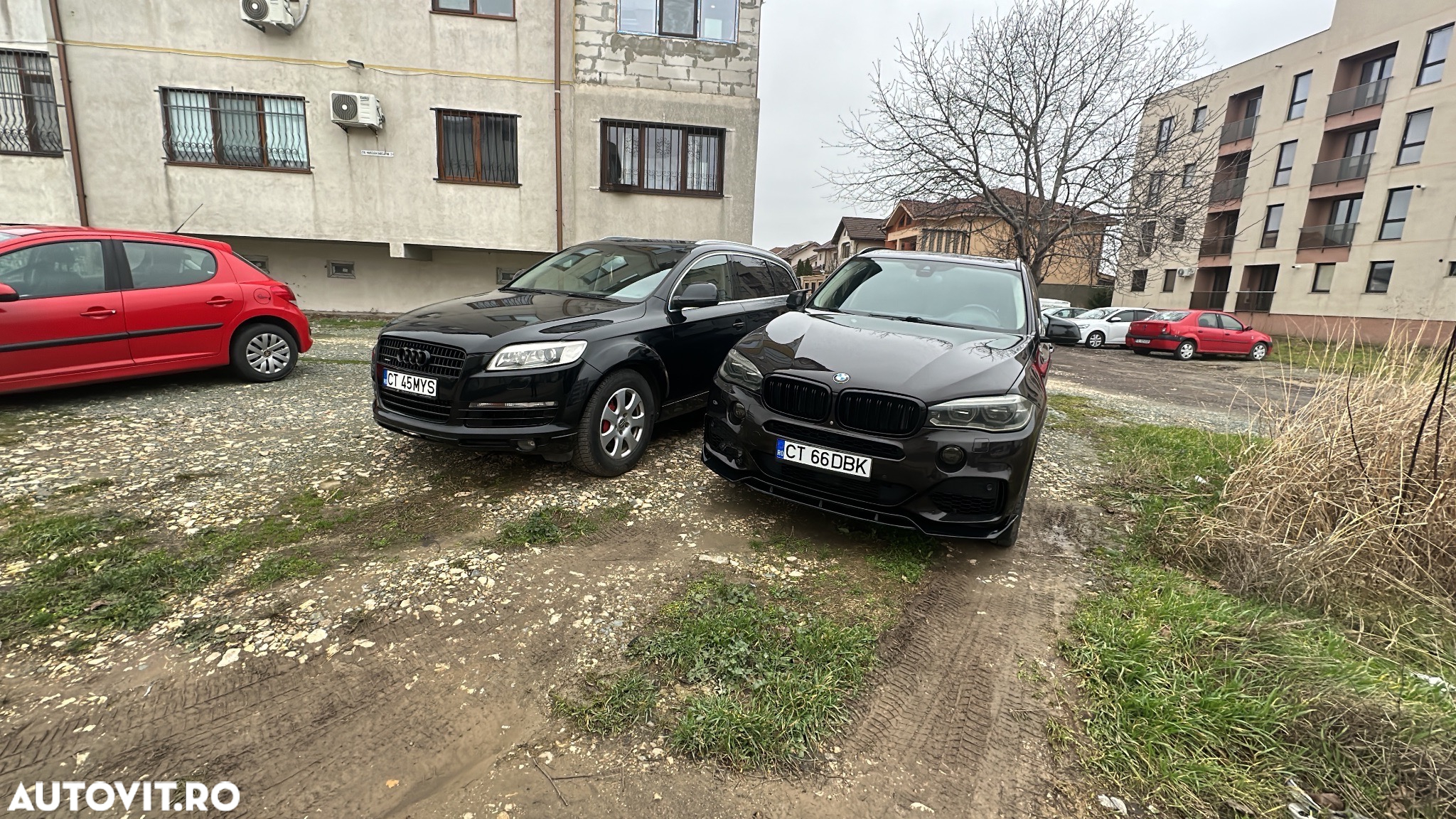 BMW X5 xDrive30d Sport-Aut. - 17