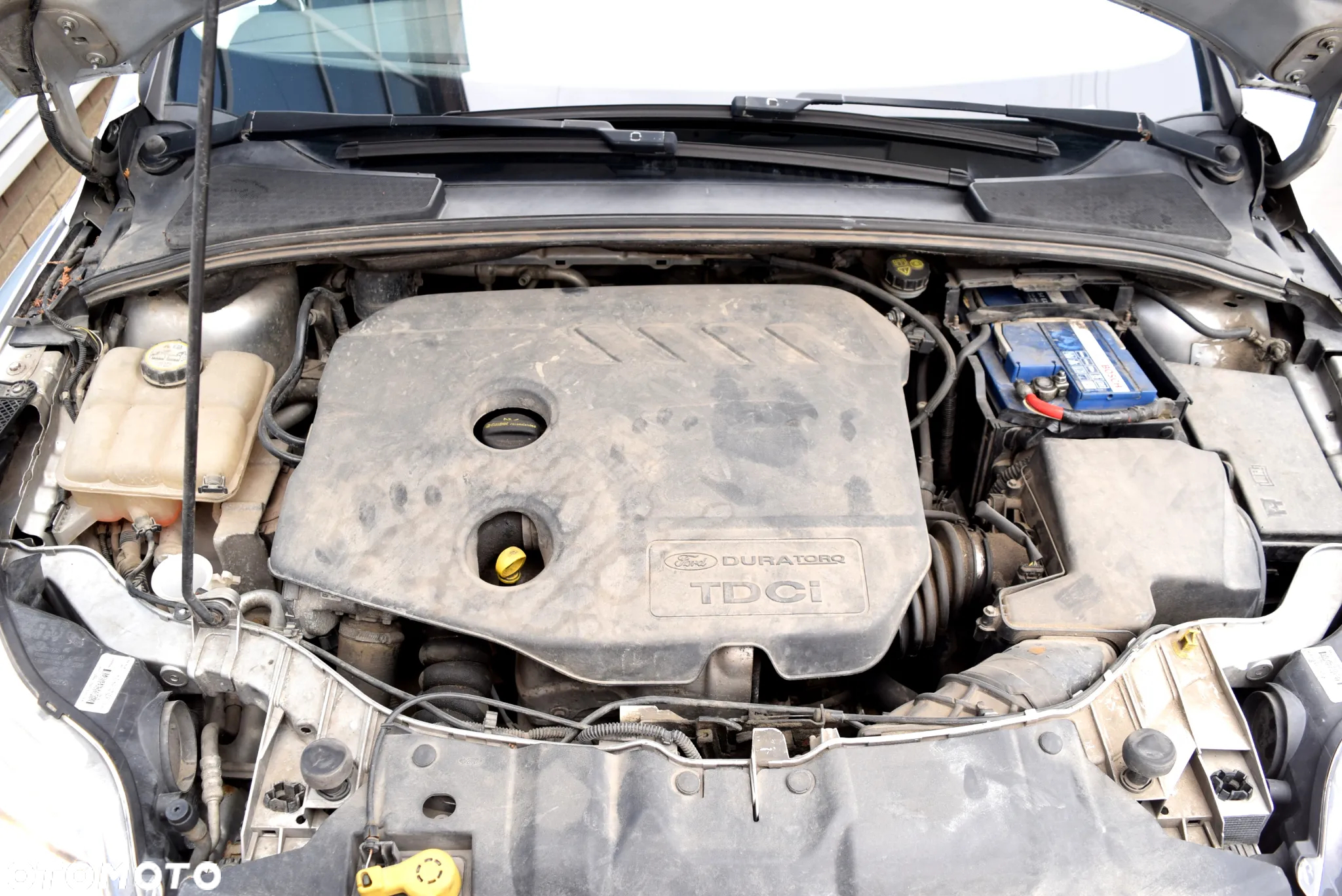 Ford Focus 1.6 TDCi Trend - 23