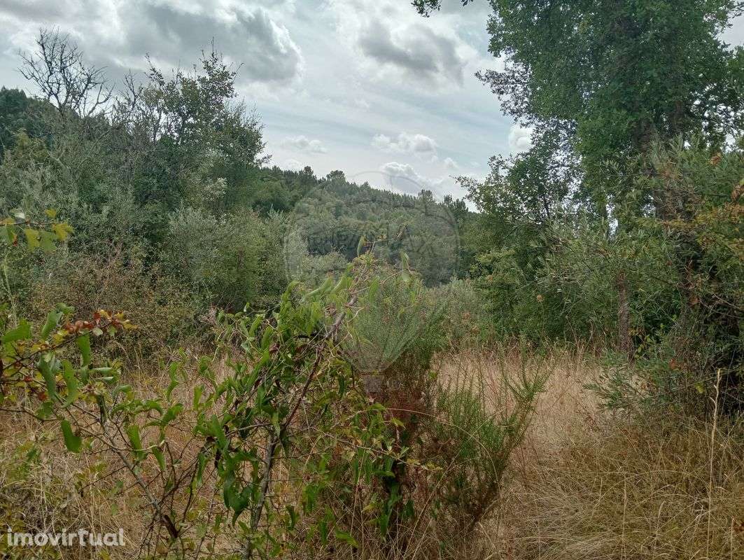 Terreno  para venda - Grande imagem: 2/3