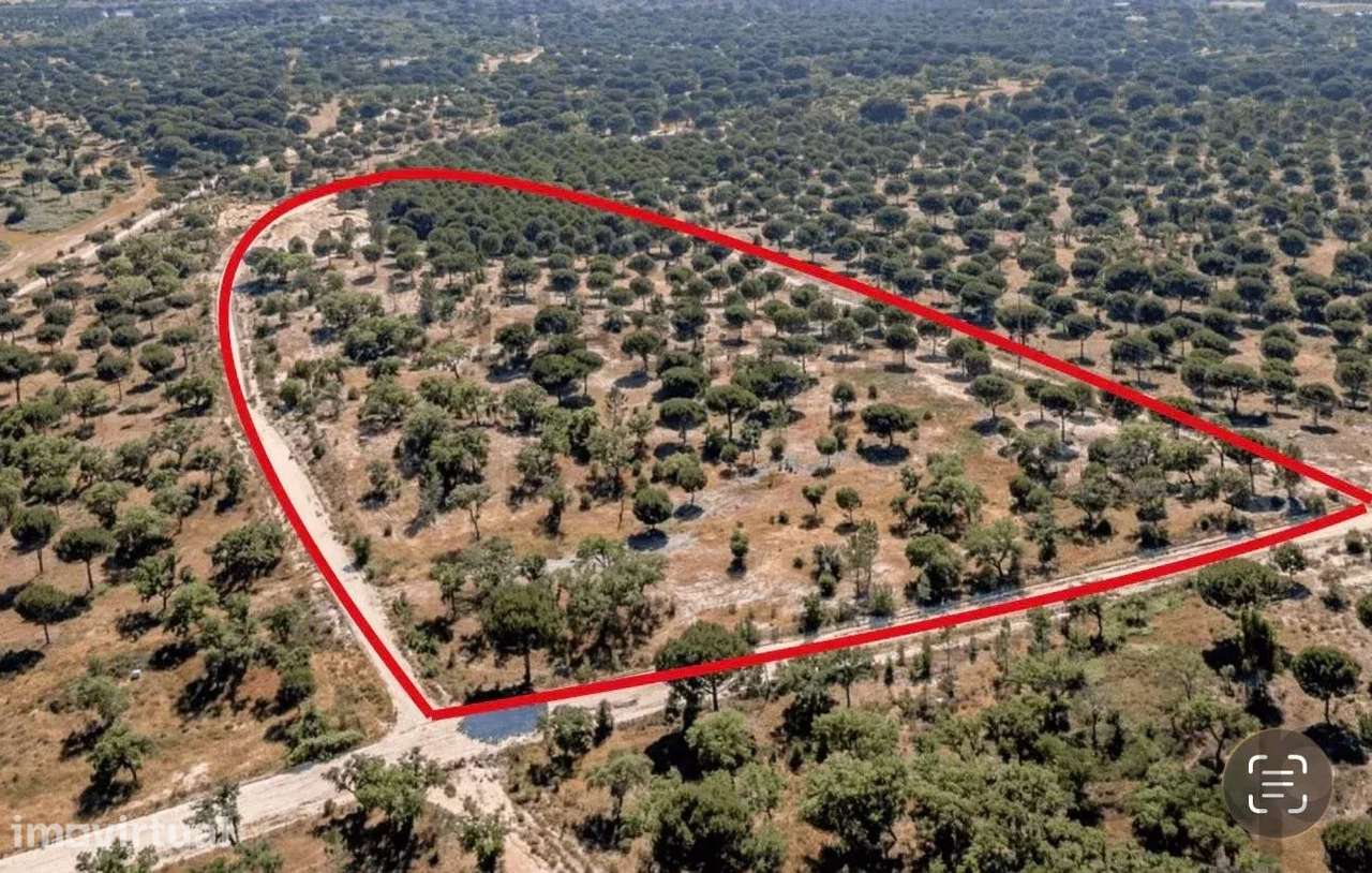 Terreno com Projeto Aprovado para Construção de Moradia de 800m² - Grande imagem: 5/5
