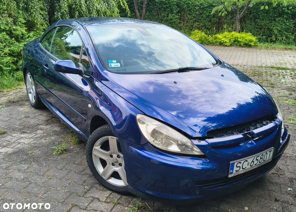 Peugeot 307 CC 2.0 - 17
