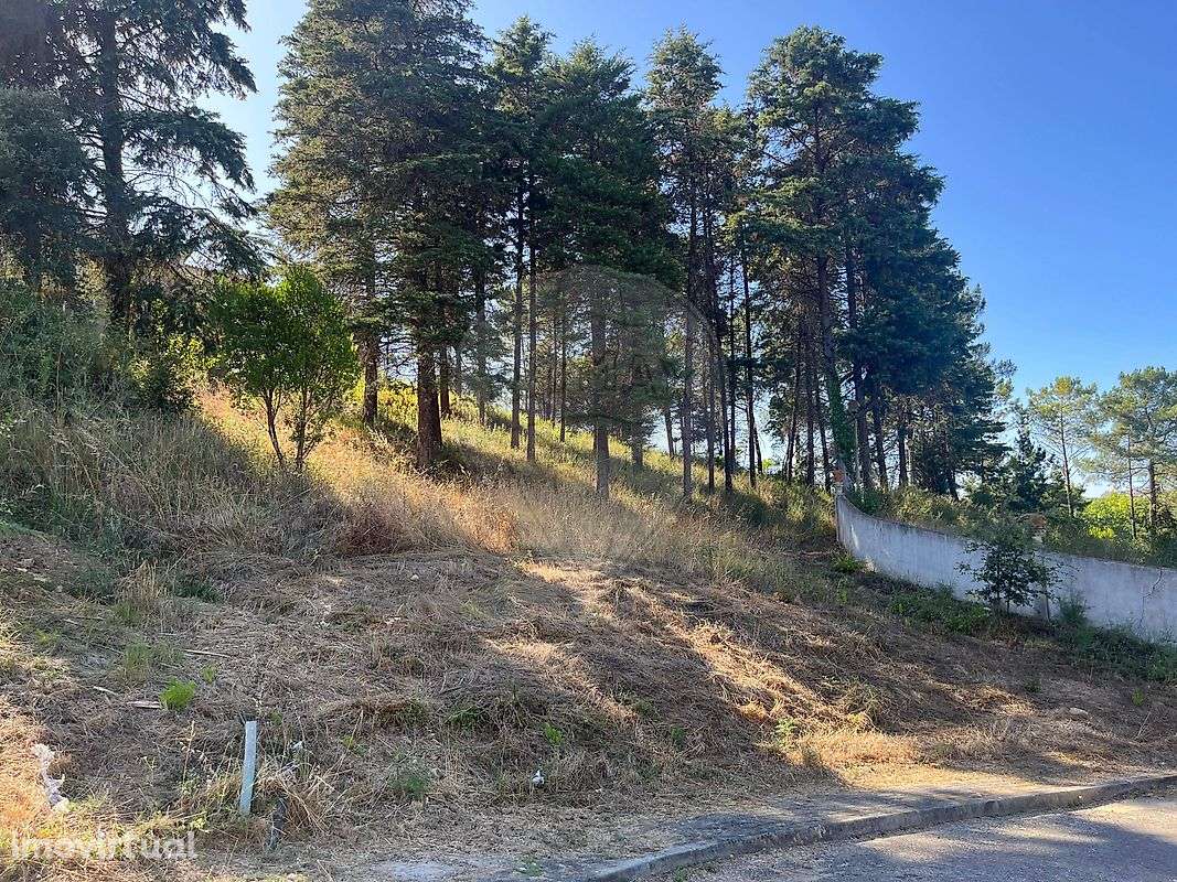 Terreno  para venda - Grande imagem: 4/4