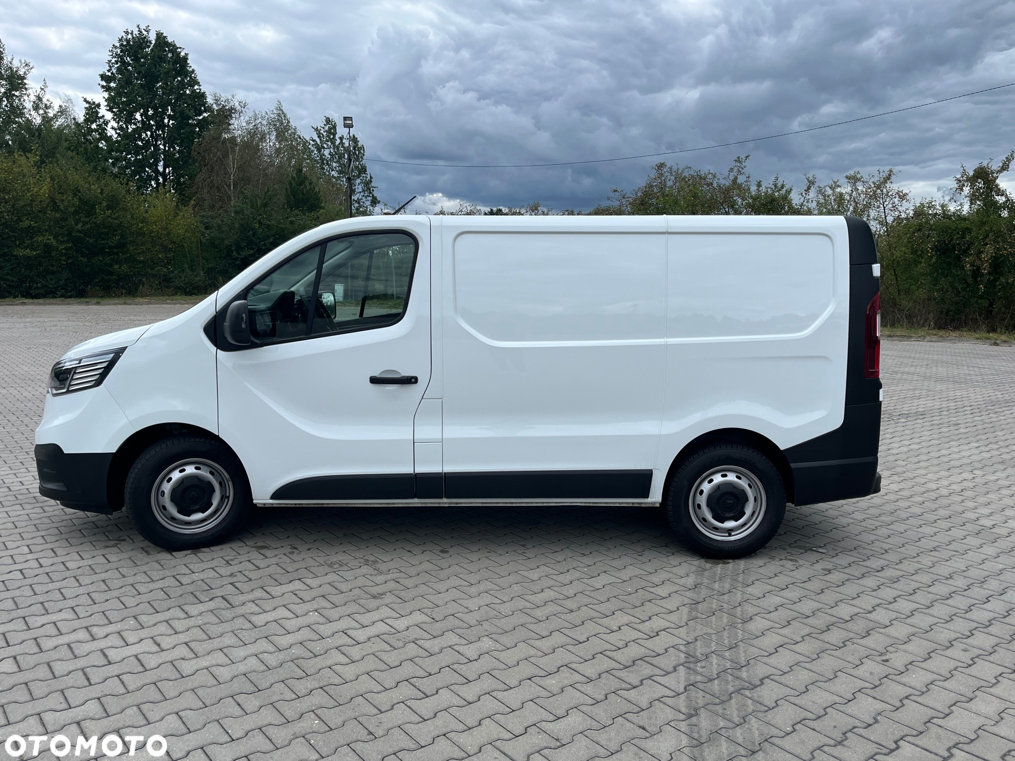 Renault Trafic - 10