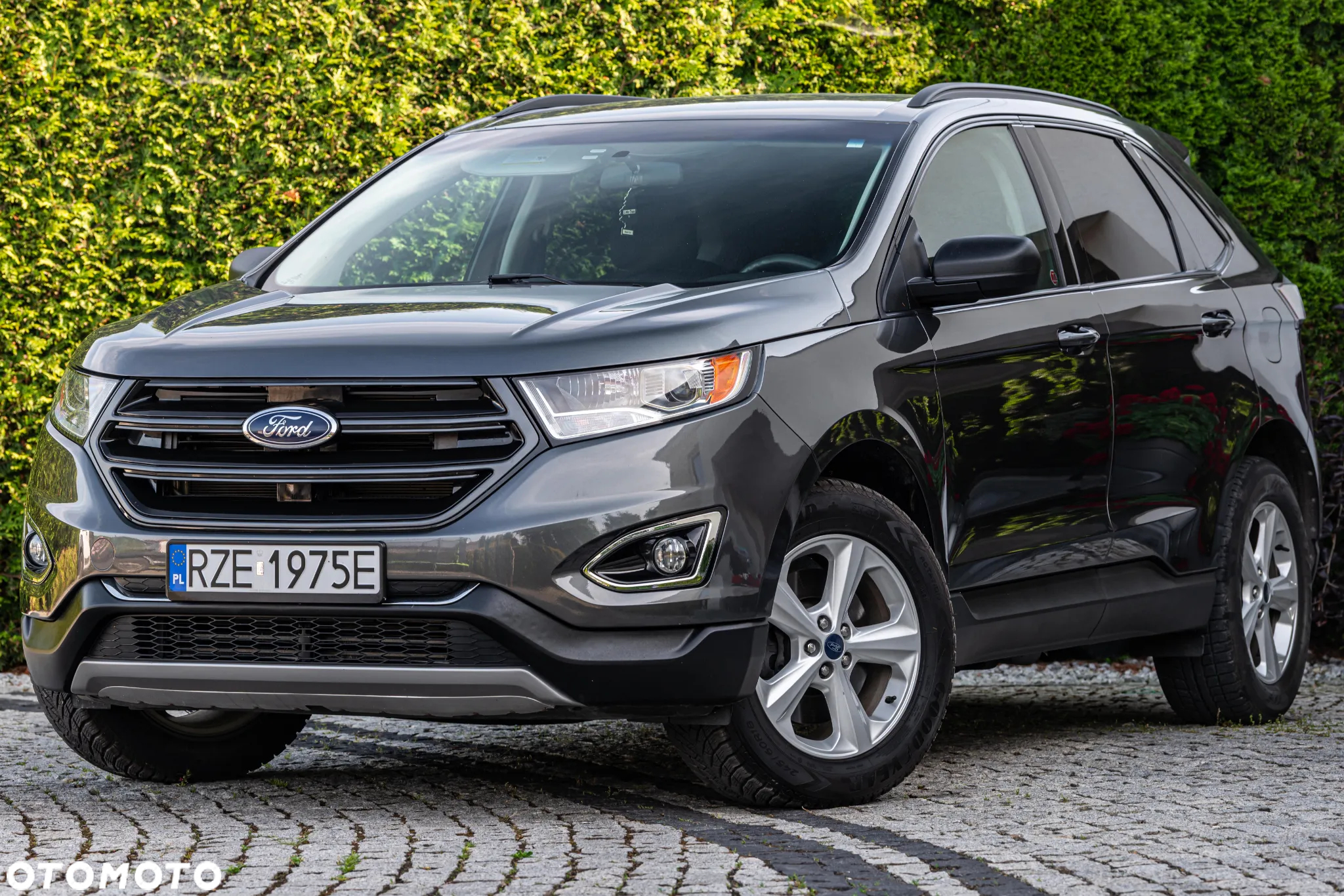 Ford Edge - 3
