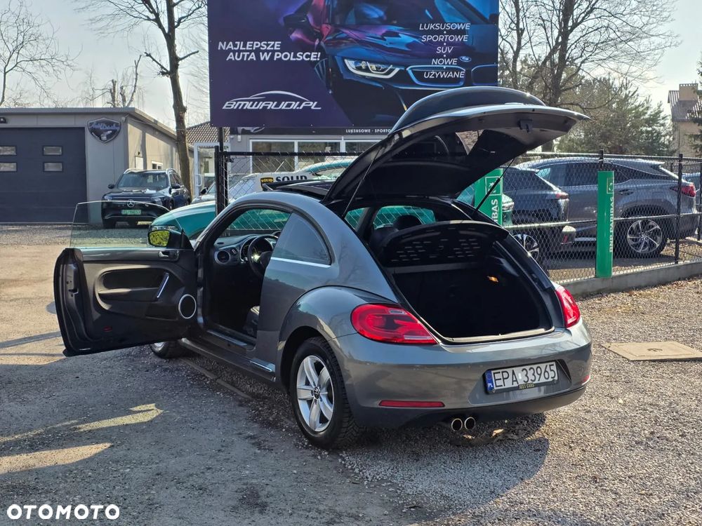 Volkswagen Beetle - 6