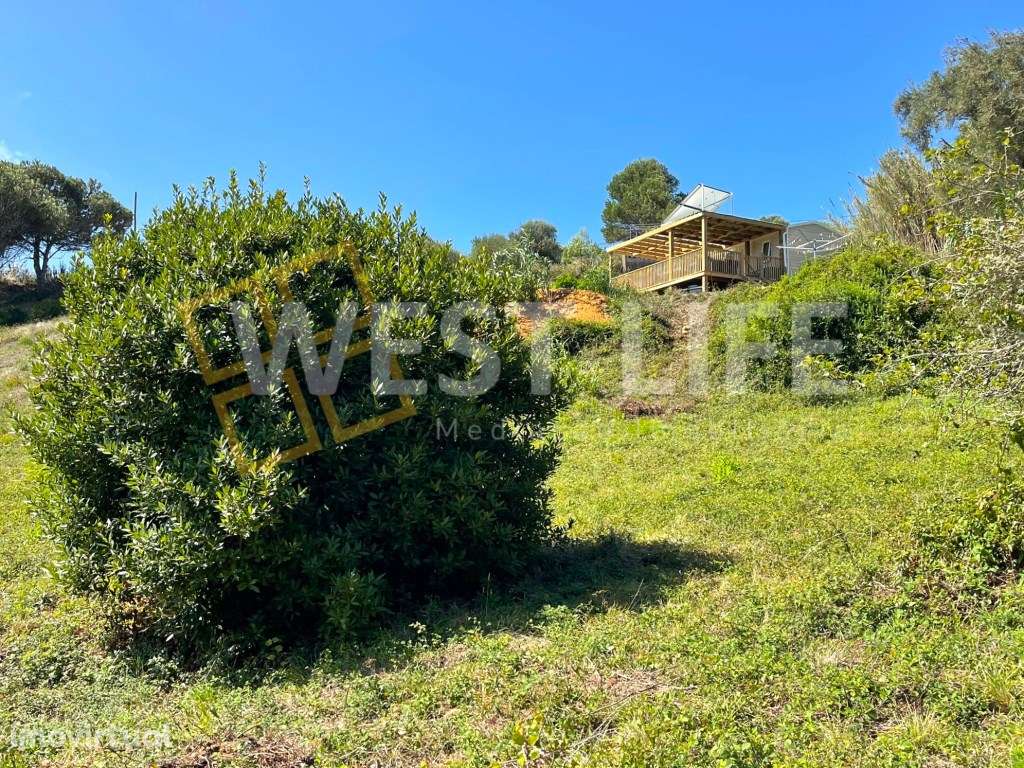 Terreno Rústico de 9 375m2 com casa amovível T2 - A 2 minutos da pr... - Grande imagem: 3/26