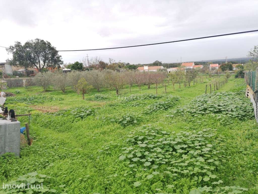 Terreno Misto com Vista Oceano - Grande imagem: 5/11
