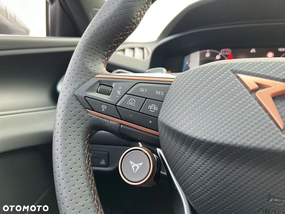 Cupra Terramar - 15