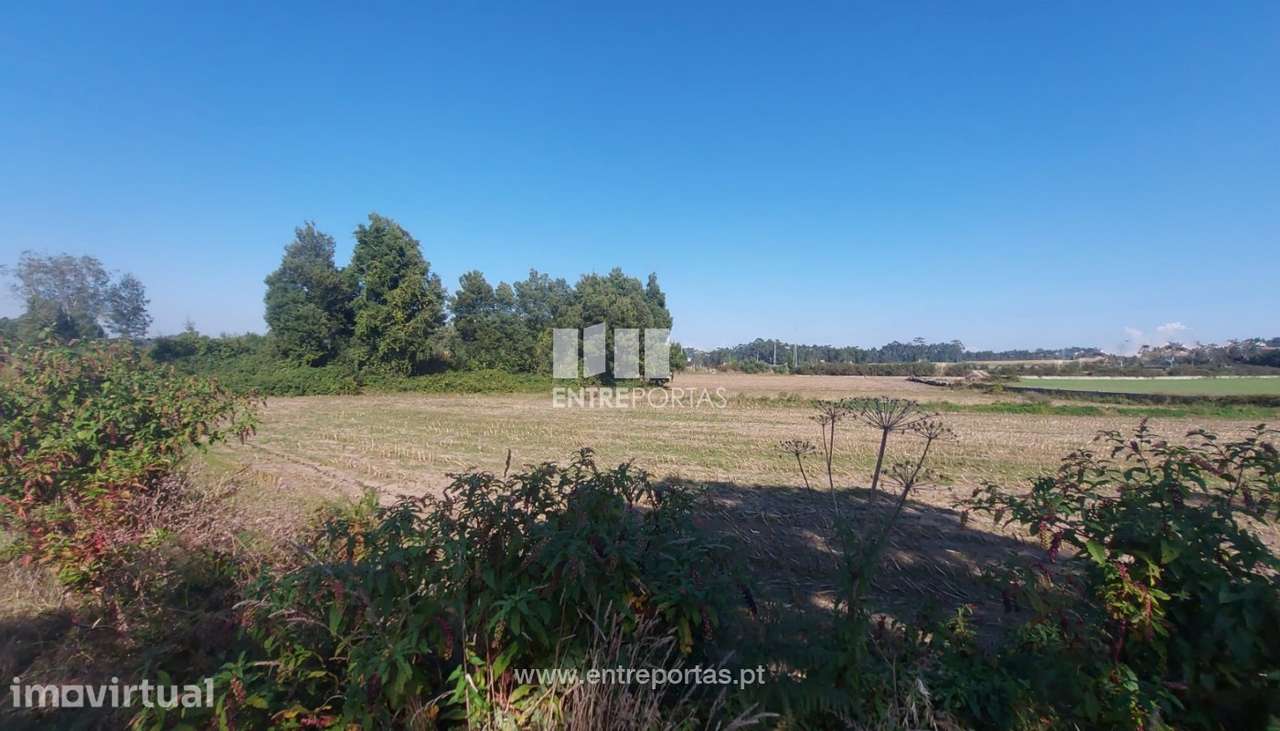 Venda de Terreno agrícola com 7250 m2, Tougues, Vila do Conde - Grande imagem: 3/11