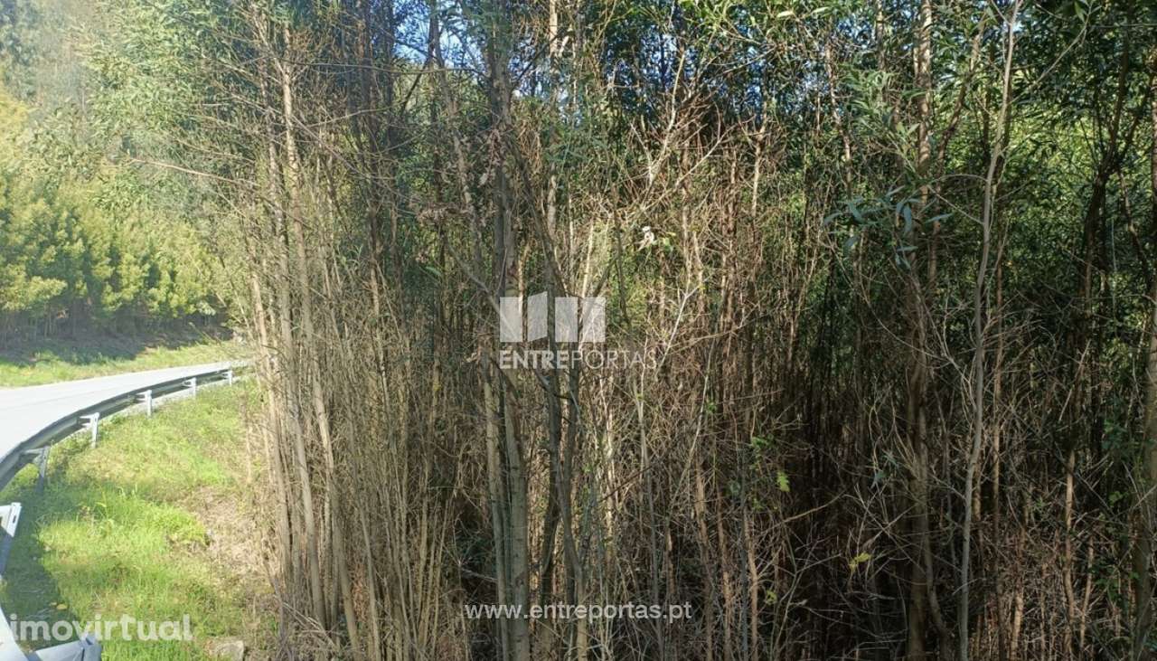 Venda Terreno  Vila Cova Penafiel - Grande imagem: 3/16