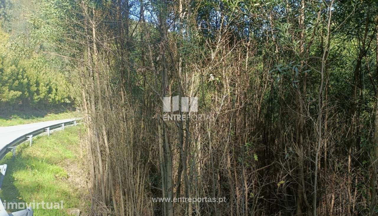 Venda Terreno  Vila Cova Penafiel - Grande imagem: 3/16