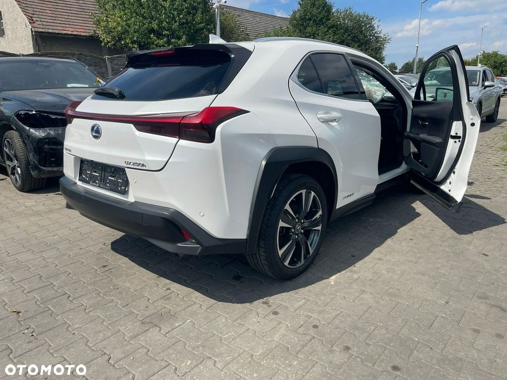 Lexus UX 250h GPF Business 2WD - 4