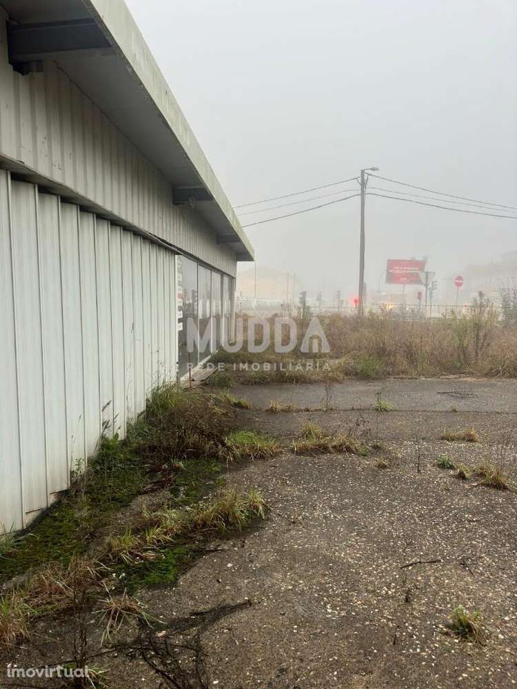 Arrendamento Quinta/Herdade - Grande imagem: 3/4