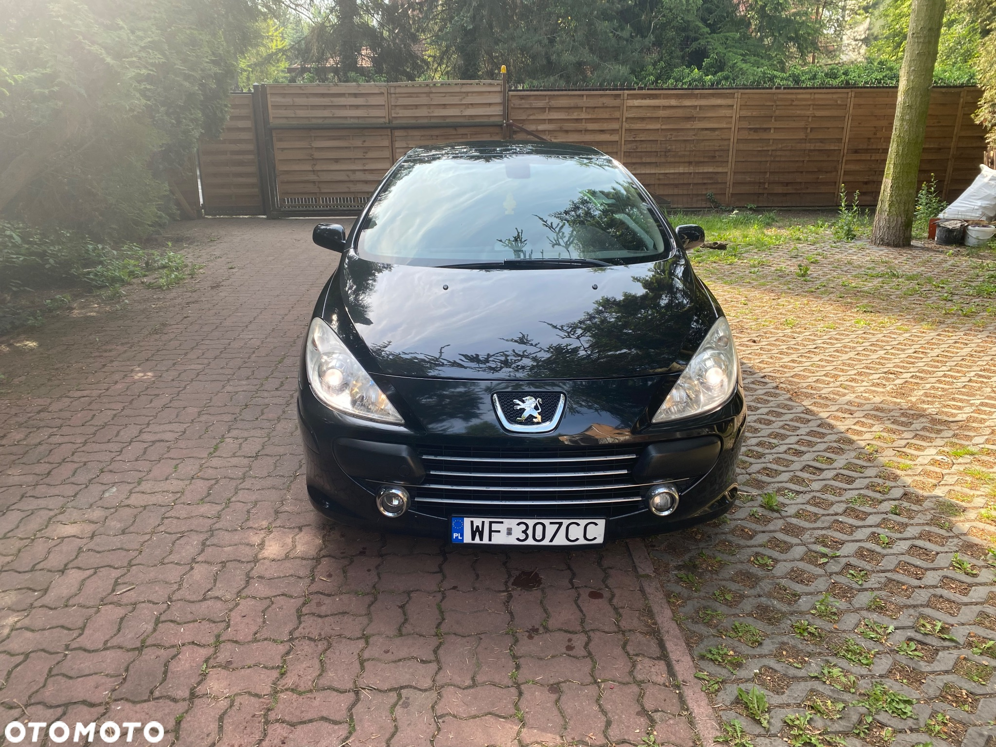 Peugeot 307 CC 2.0 Intense - 17