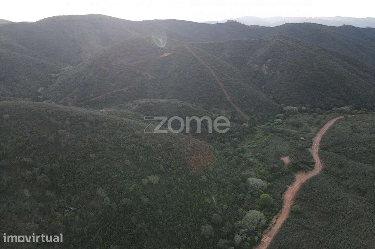 Terreno Rústico em Barranco do Talurdo com 183.520m2 - Grande imagem: 5/15