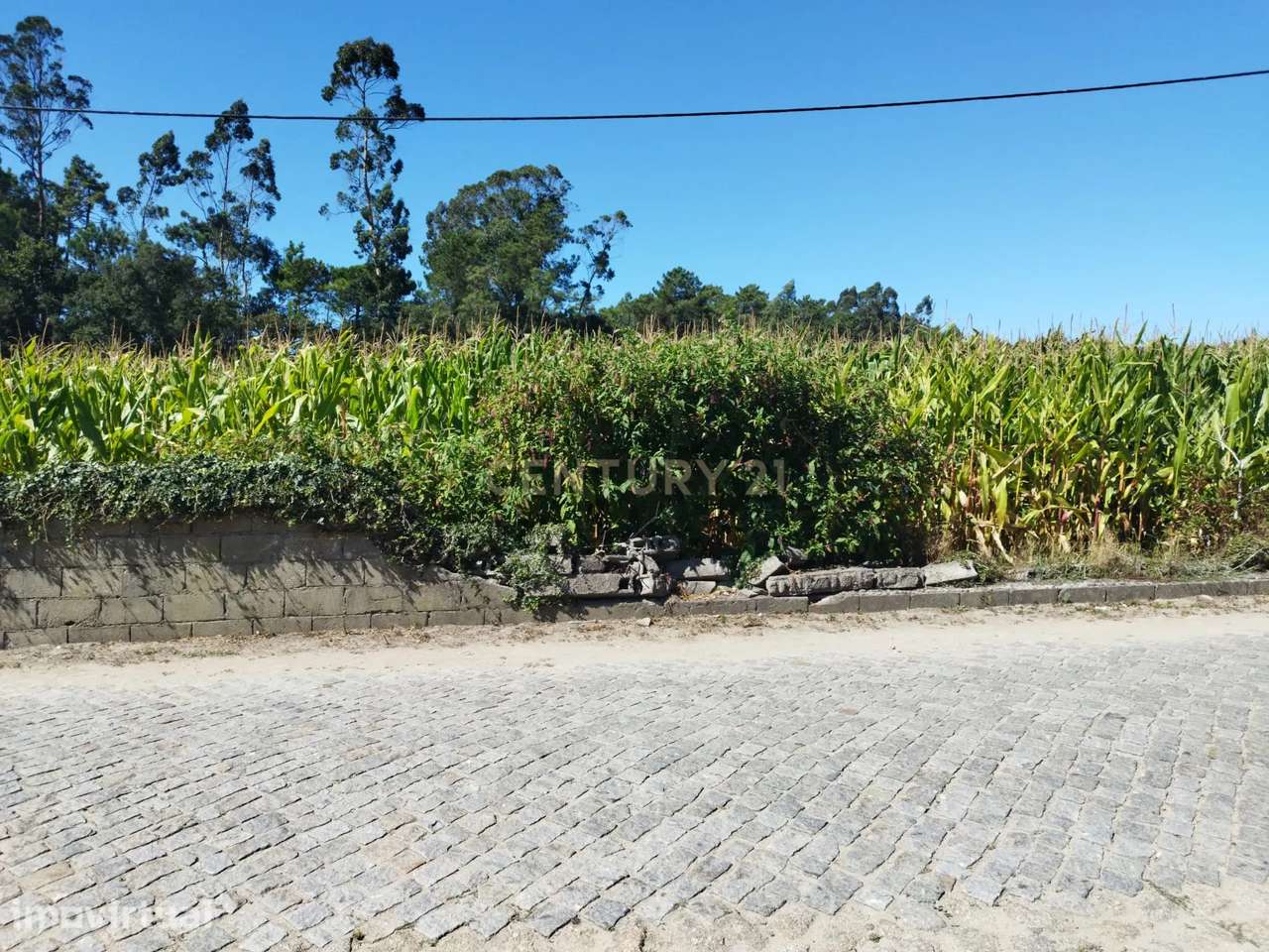 Terreno Para construção em Gemeses com 4300m2 - Grande imagem: 2/13