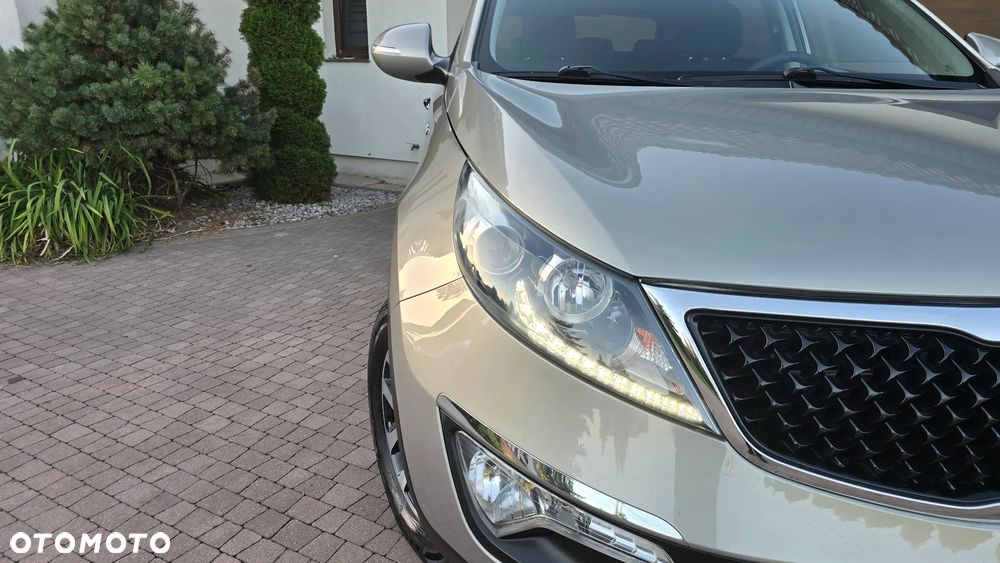 Kia Sportage - 14