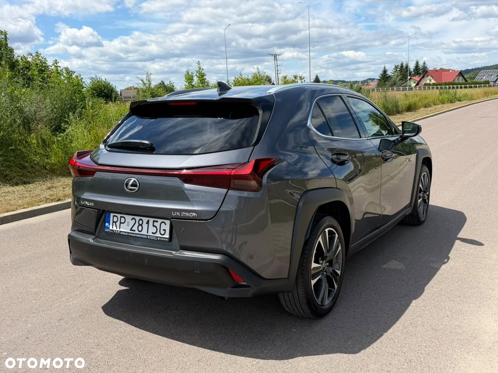 Lexus UX 250h - 8