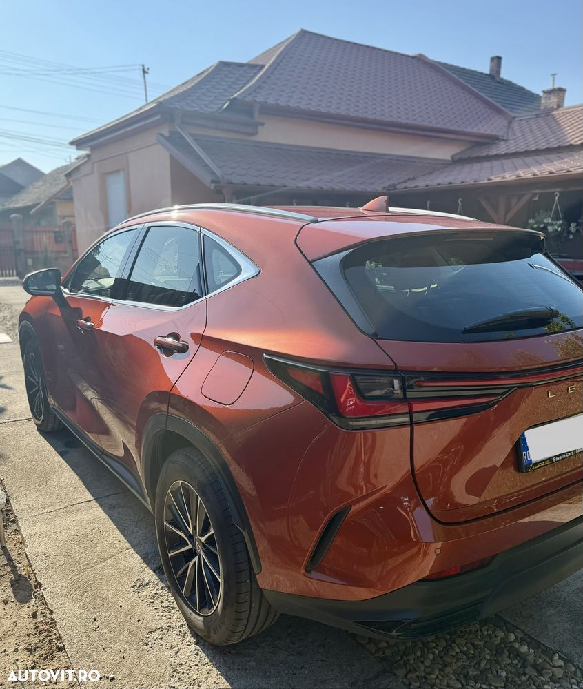 Lexus Seria NX 350h AWD CVT HEV Comfort - 2