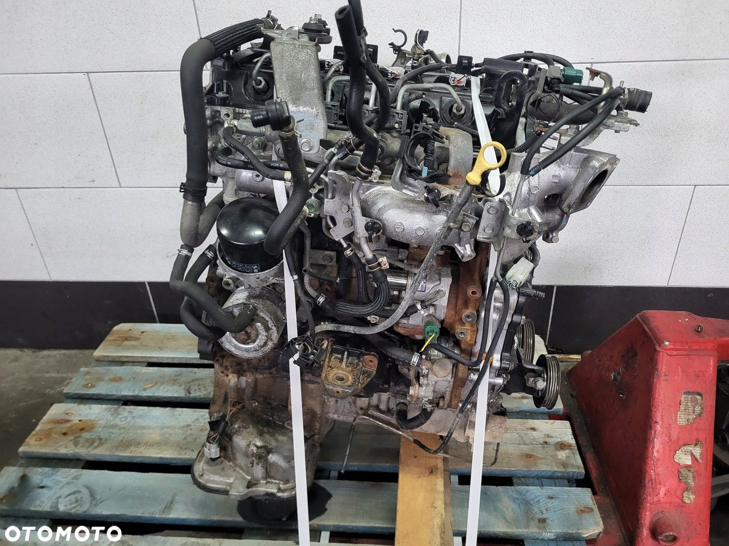 NISSAN PATHFINDER R51 NAVARA 2.5 DCi SILNIK POMPA WTRYSKI TURBO 190ps - 12