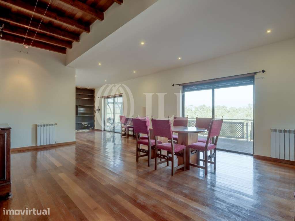 Quinta com potencial construtivo em Pêra, Silves, Algarve - Grande imagem: 5/60