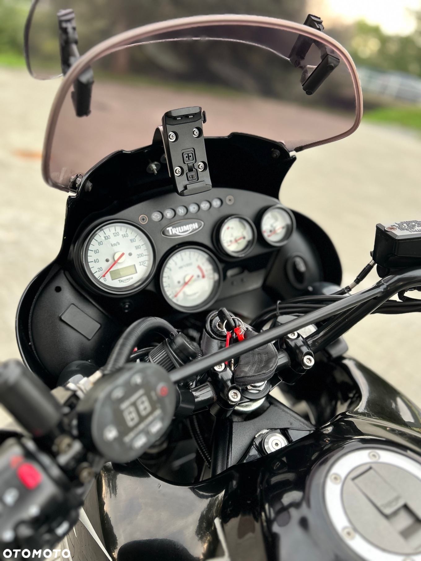 Triumph Tiger - 17