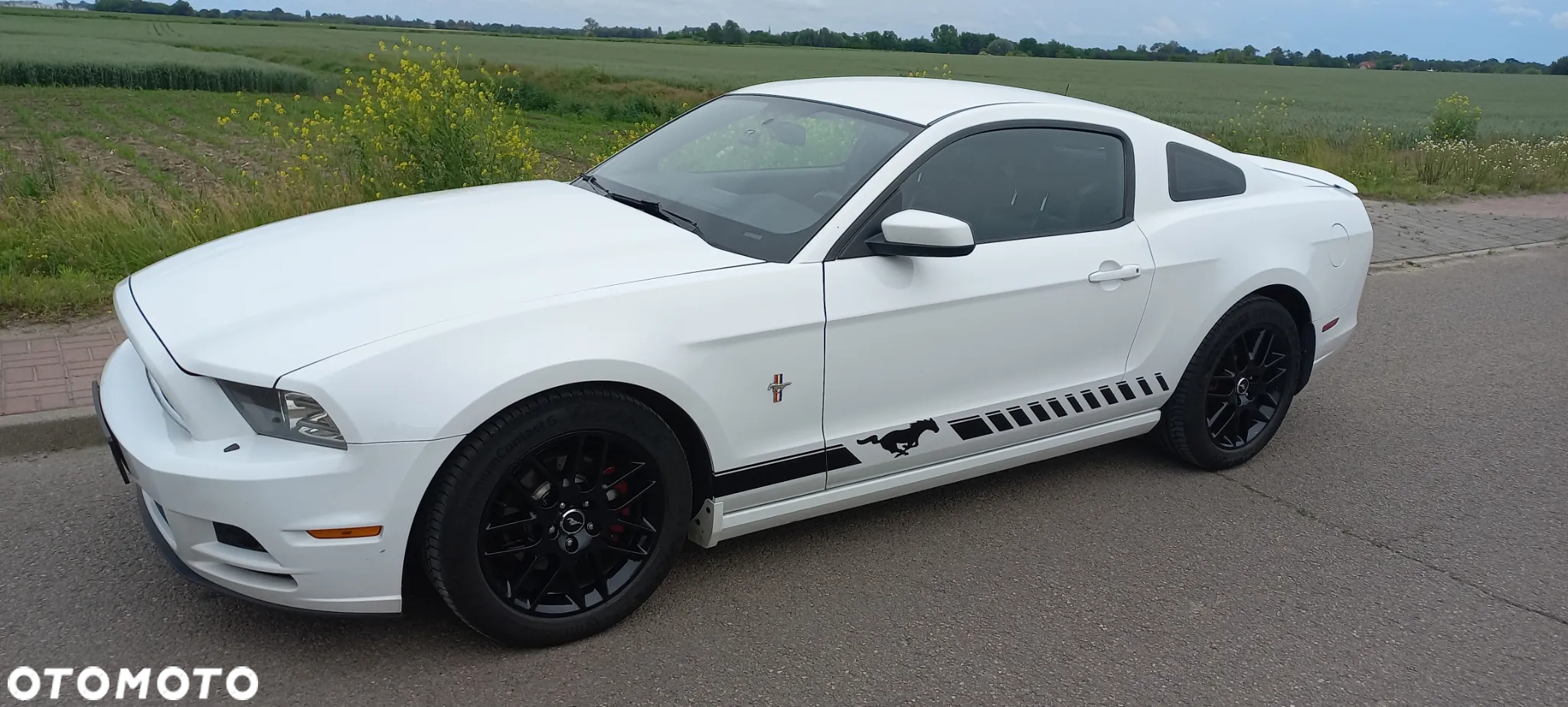 Ford Mustang 3.7 V6 Premium - 2