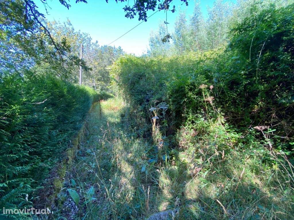 Ruína para restauro - Grande imagem: 3/16