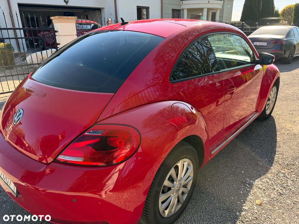 Volkswagen Beetle - 6