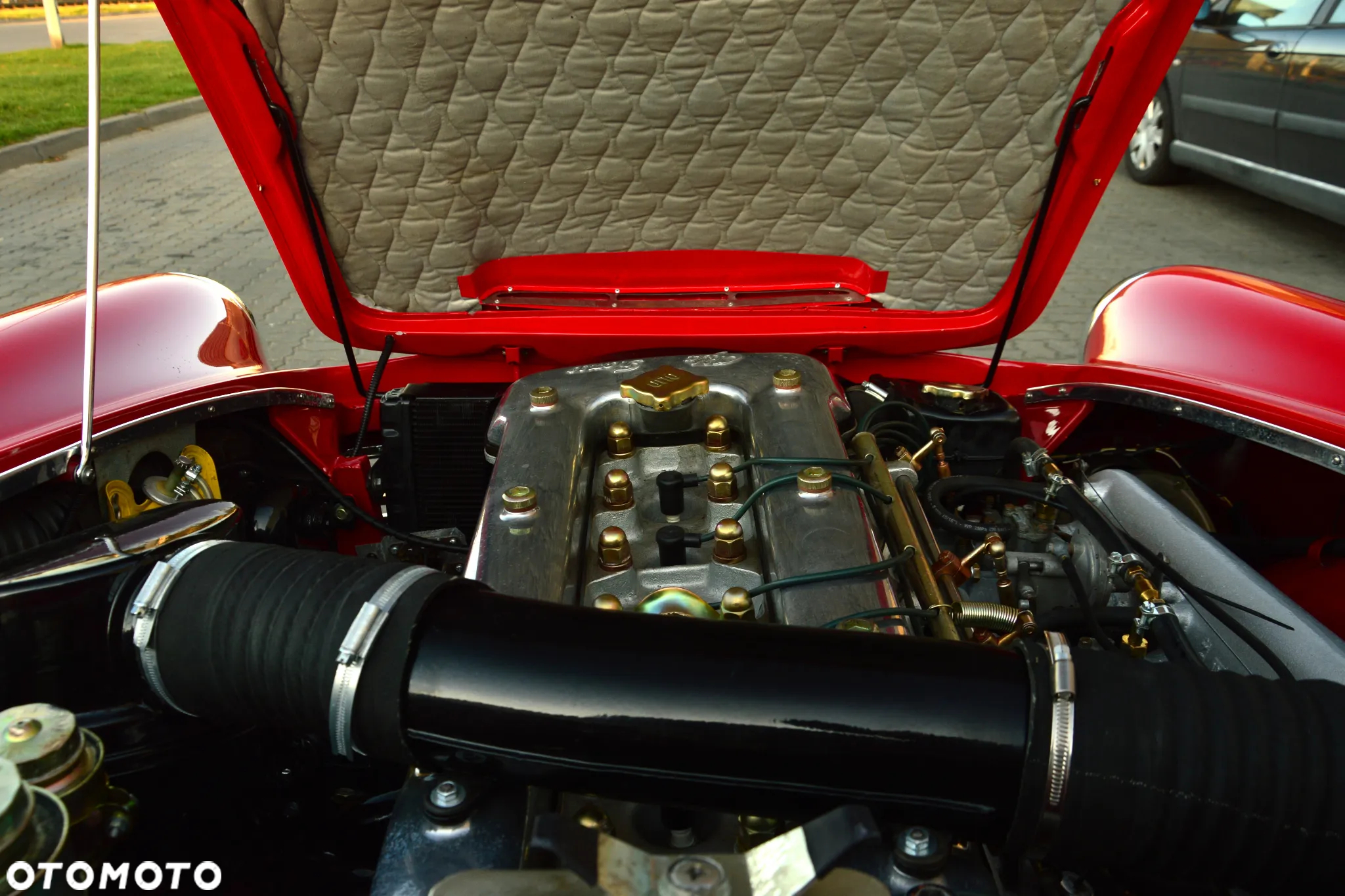 Alfa Romeo Inny - 20