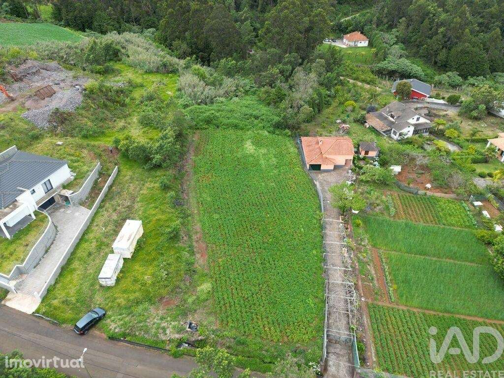 Terreno em São Jorge de 1310,00 m2 - Grande imagem: 3/6