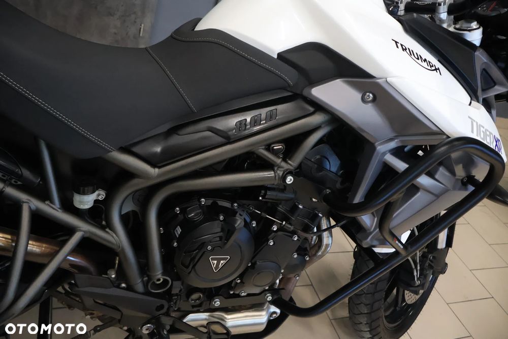 Triumph Tiger - 19