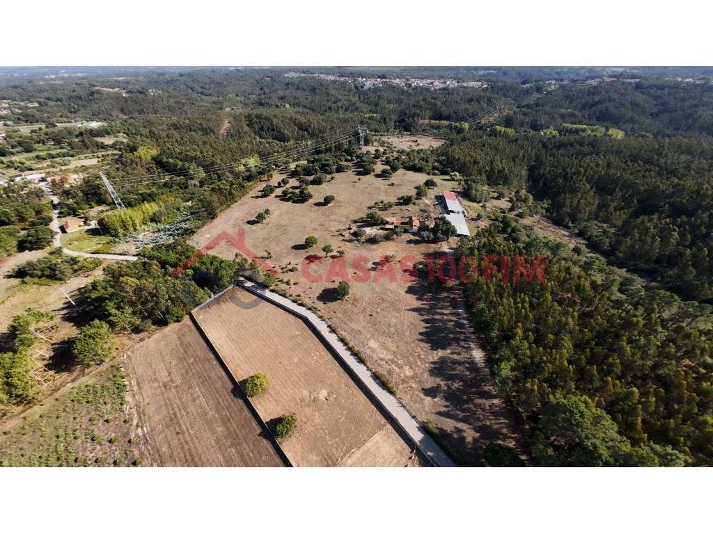 Terreno 161.000 m² com 2 ha urbanizáveis - Souto da Carpalhosa - Grande imagem: 3/6