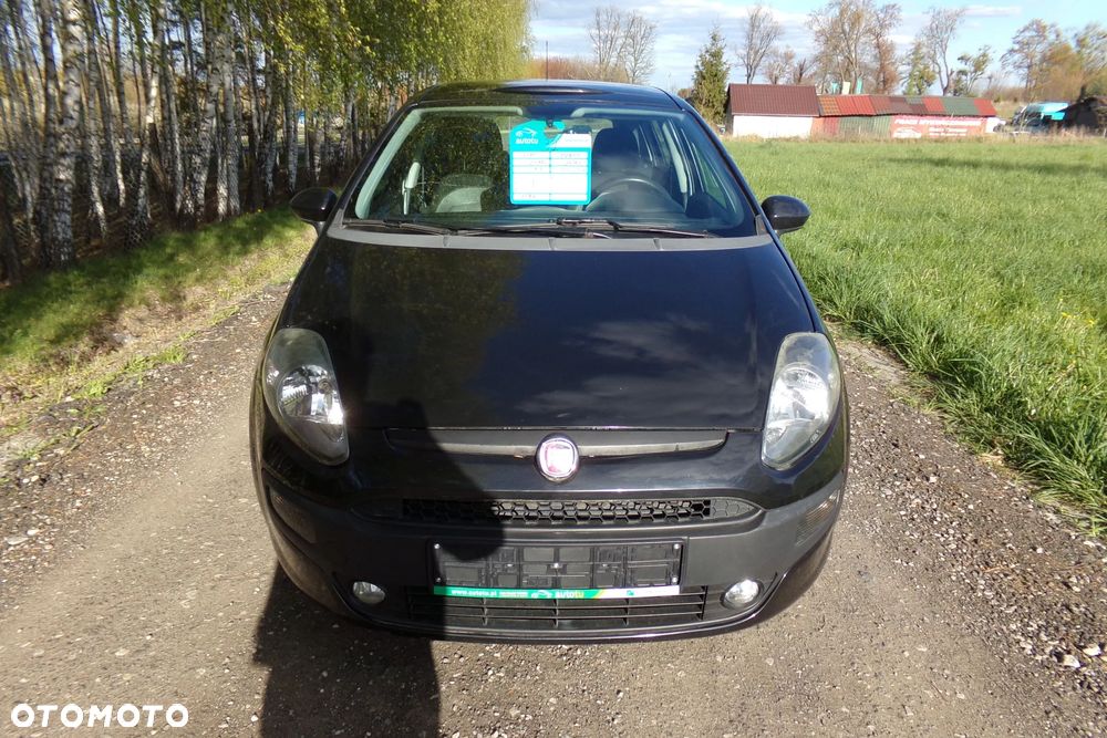 Fiat Punto - 2