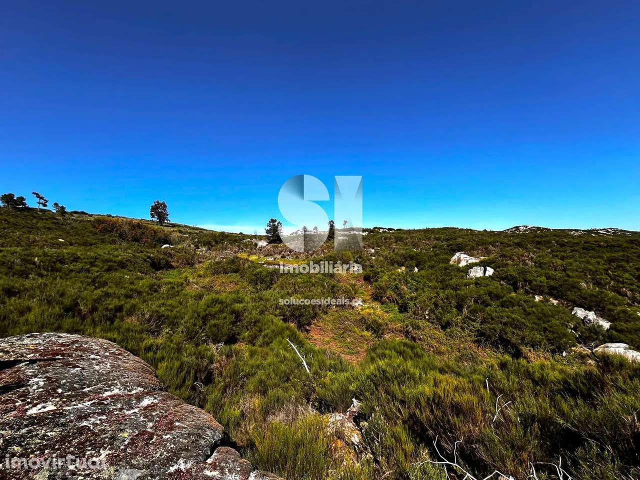 Terreno em Alijó - Grande imagem: 4/15