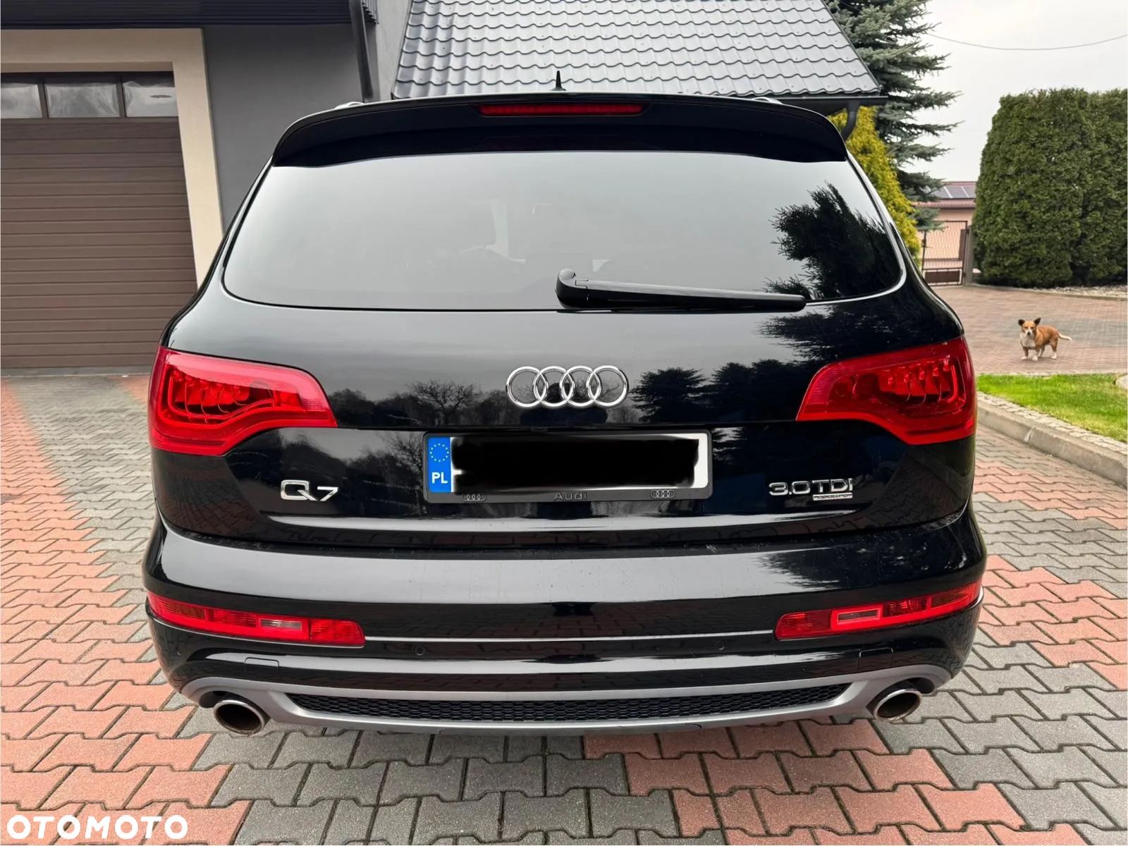 Audi Q7 3.0 TDI DPF Quattro Tiptronic - 2