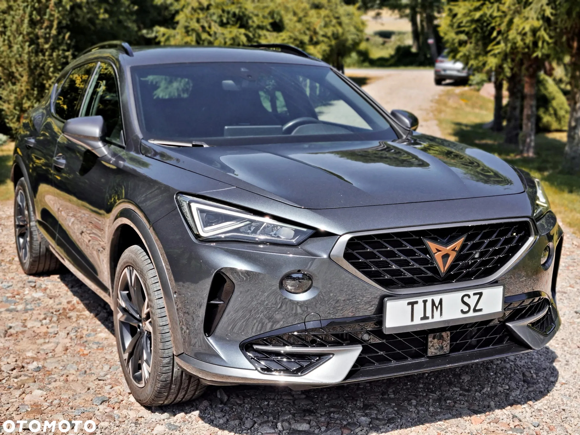 Cupra Formentor 2.0 TDI - 8