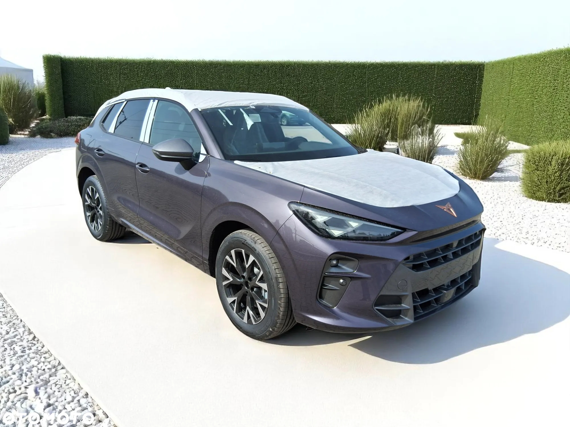 Cupra Terramar 1.5 eHybrid PHEV DSG - 3