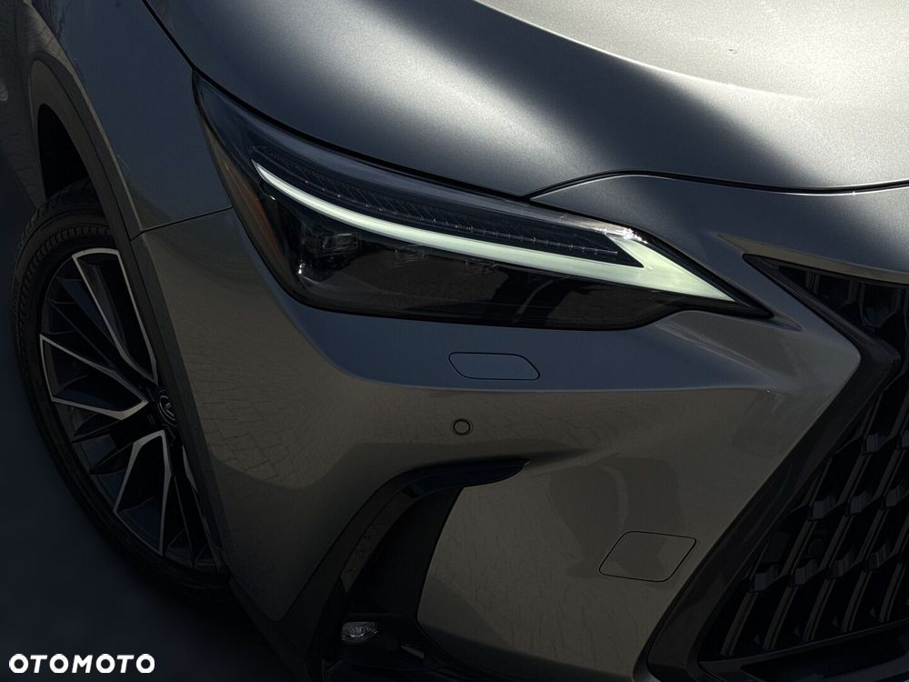 Lexus NX - 26