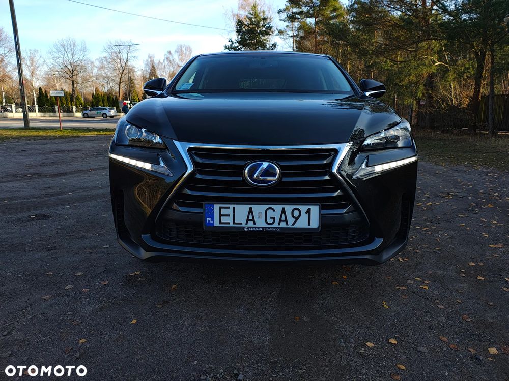Lexus NX 300h Elegance 2WD - 6