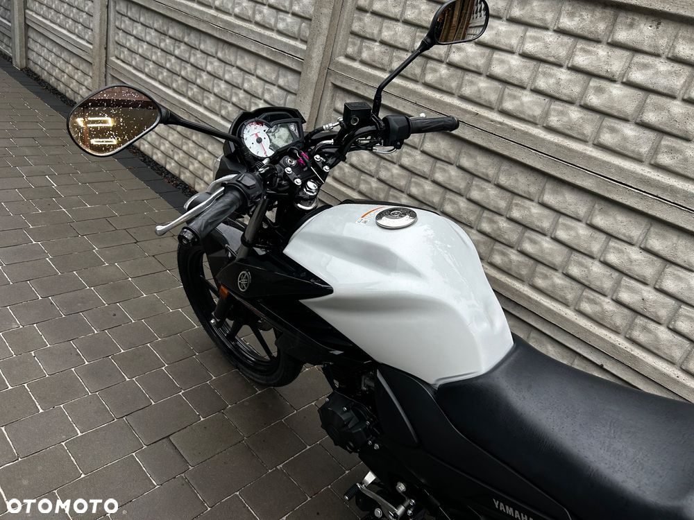 Yamaha YS - 19