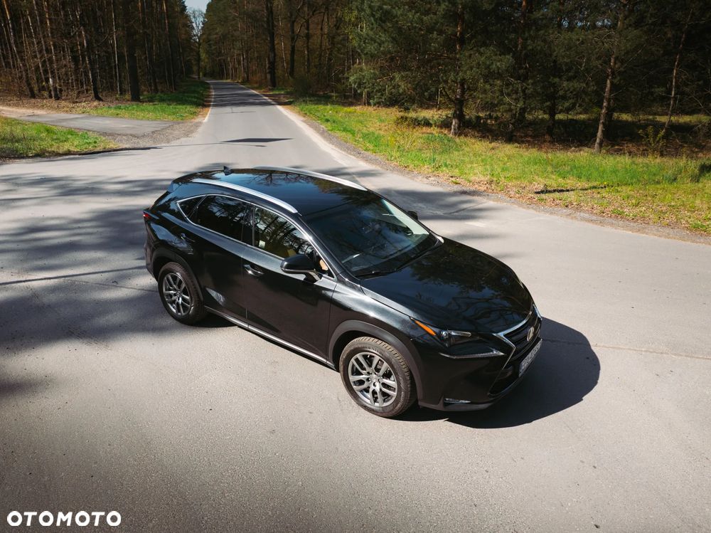 Lexus NX 300 Elegance 2WD - 3