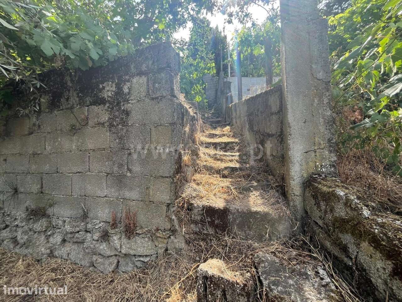 Terreno / Seia, São Romão - Grande imagem: 2/12