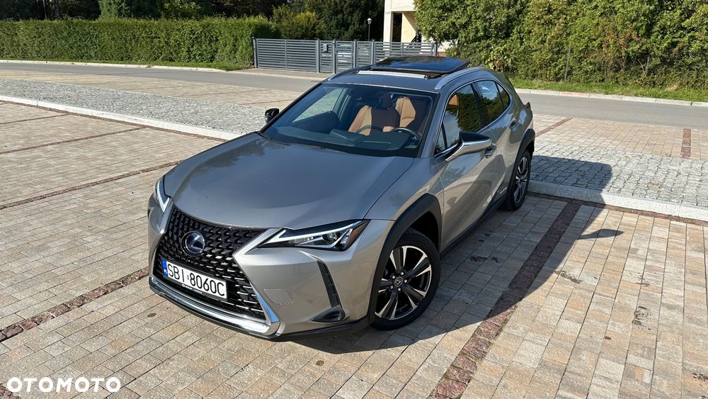 Lexus UX 250h GPF Prestige AWD - 2